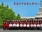 ҽҩѧ2012첩ʿҵӰ